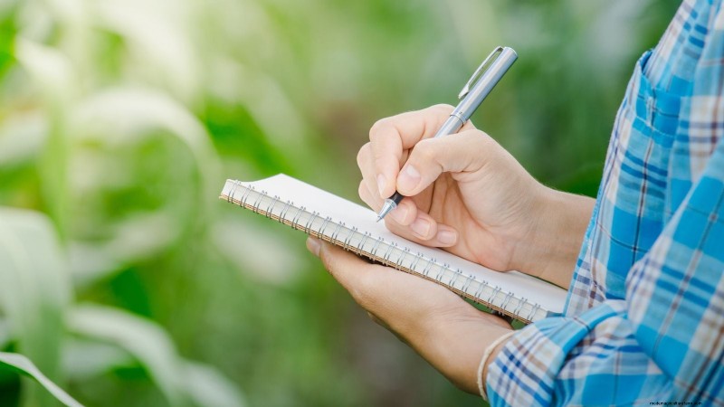 Comment garder vos parterres de fleurs en fleurs toute la saison grâce aux semis successifs 