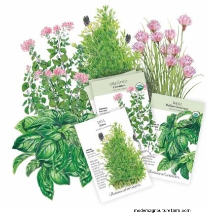 Créez le jardin d herbes aromatiques en pot idéal :un guide étape par étape 