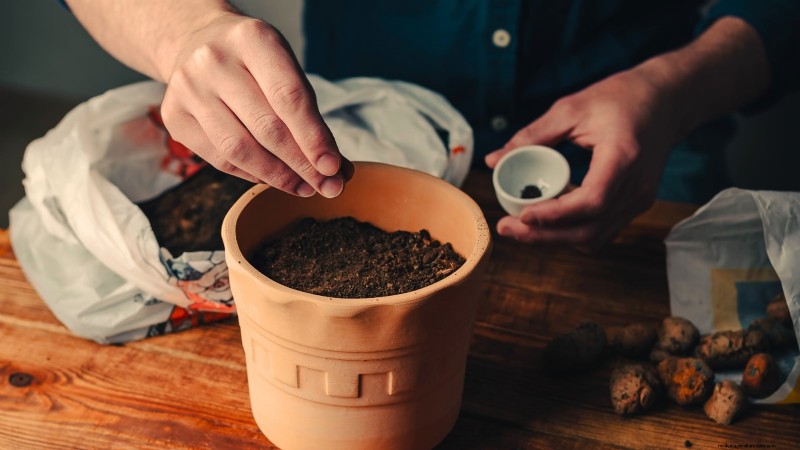 Créez le jardin d herbes aromatiques en pot idéal :un guide étape par étape 