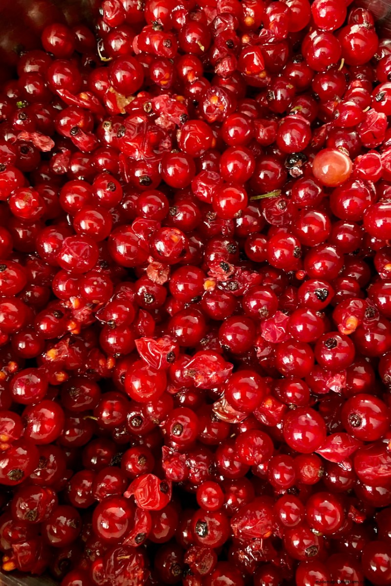 8 arbustes comestibles pour une haie d’intimité fruitière 
