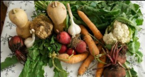 Memperpanjang Musim Berkebun Anda:Berkebun Musim Dingin &Perawatan Hewan di Cuaca Dingin 