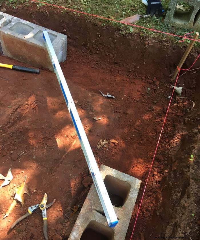 Panduan DIY:Membangun Rumah Kaca Hobi yang Terjangkau dari Jendela Daur Ulang 