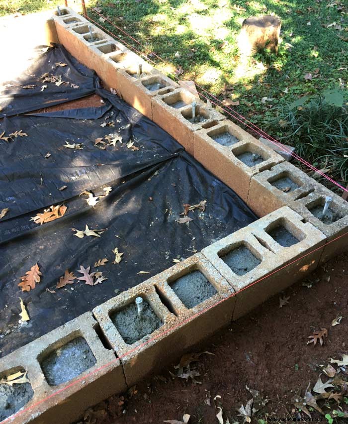 Panduan DIY:Membangun Rumah Kaca Hobi yang Terjangkau dari Jendela Daur Ulang 