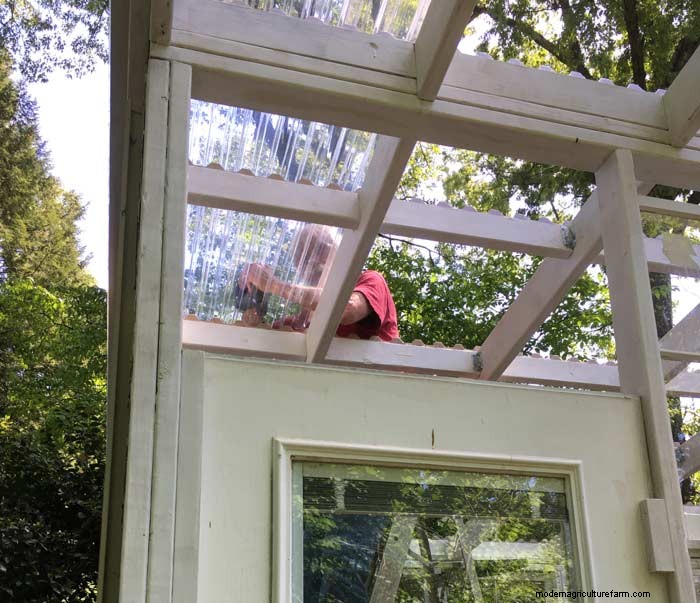 Panduan DIY:Membangun Rumah Kaca Hobi yang Terjangkau dari Jendela Daur Ulang 