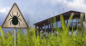 Test di trascinamento delle zecche fai-da-te:come controllare in sicurezza il tuo giardino per le infestazioni da zecche 