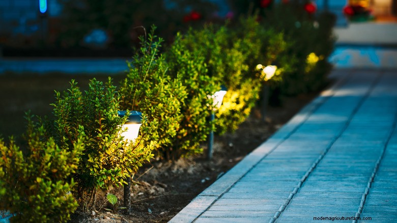 L’éclairage extérieur en couches surpasse les lampes solaires en 2026 :avis d’experts 