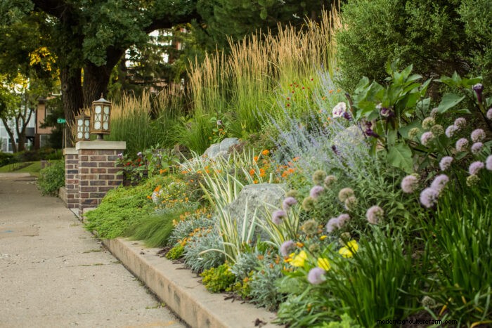 Revitaliser les jardins matures :trois schémas de plantation éprouvés 