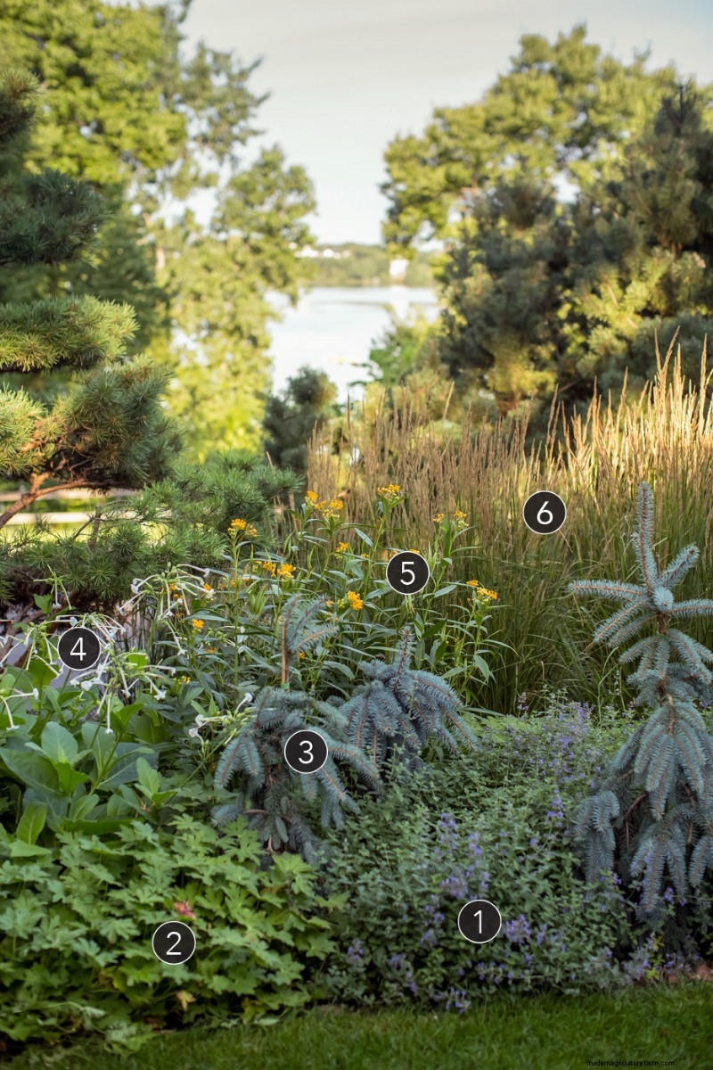 Revitaliser les jardins matures :trois schémas de plantation éprouvés 
