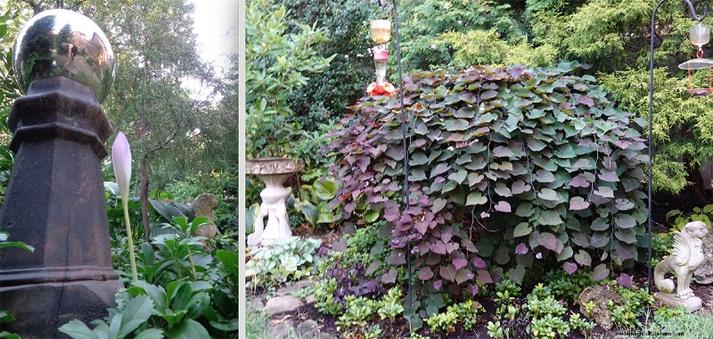 Taman Pittsburgh Berusia 14 Tahun milik Sue &Marshall Goodwin:Suaka Ketahanan dan Keindahan 