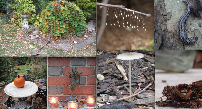 Taman Pittsburgh Berusia 14 Tahun milik Sue &Marshall Goodwin:Suaka Ketahanan dan Keindahan 