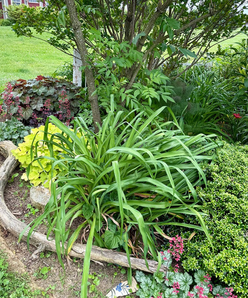Taman Pondok Carol Gibson:Transformasi 20 Tahun di Quarryville, PA 
