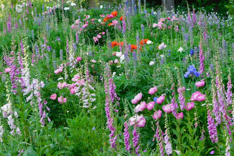Penguasaan Warna Berkelanjutan Heidi Weirether di Connecticut Gardens Akhir Mei