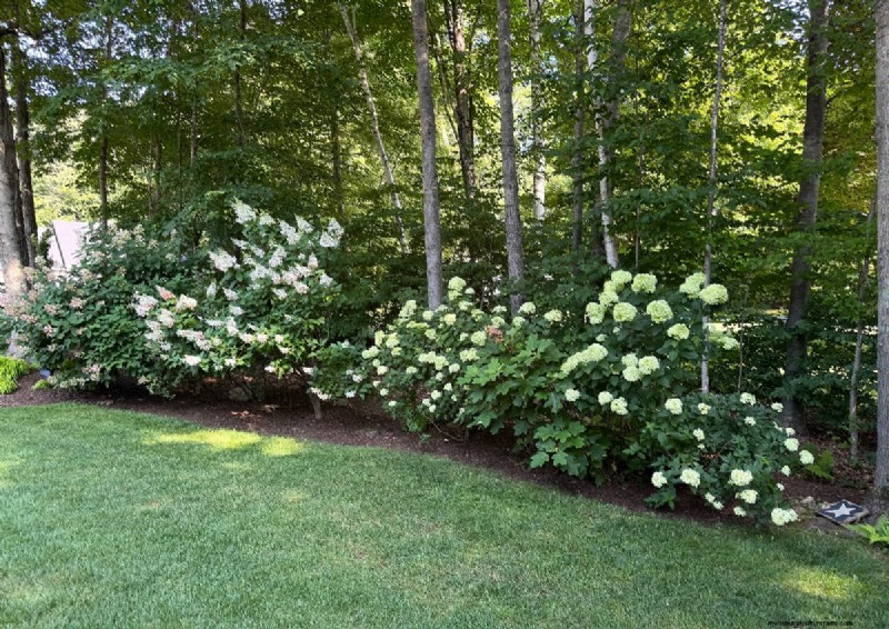 Taman Semarak Jeffrey Connors di Coventry, Connecticut 