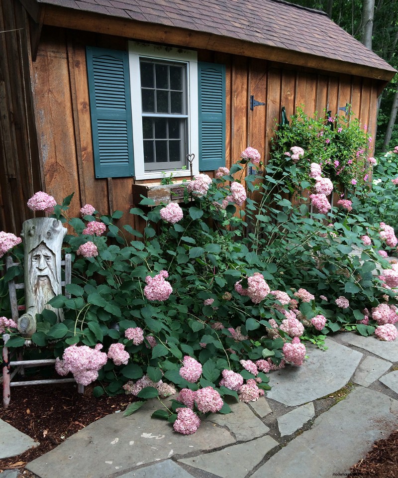 Taman Semarak Jeffrey Connors di Coventry, Connecticut 