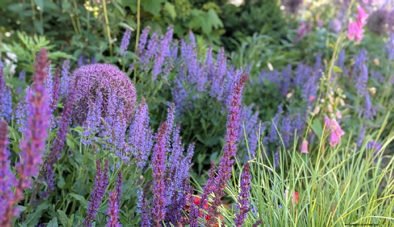 Jennifer Koch Pfeiffer :Maîtriser la couleur et la texture dans les jardins de Scarsdale 