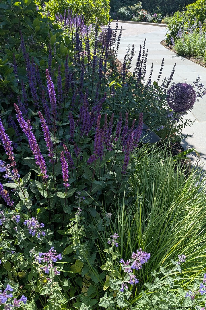 Jennifer Koch Pfeiffer :Maîtriser la couleur et la texture dans les jardins de Scarsdale 