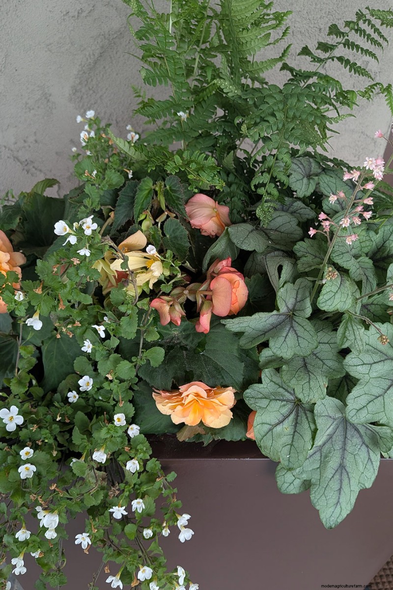 Jennifer Koch Pfeiffer :Maîtriser la couleur et la texture dans les jardins de Scarsdale 