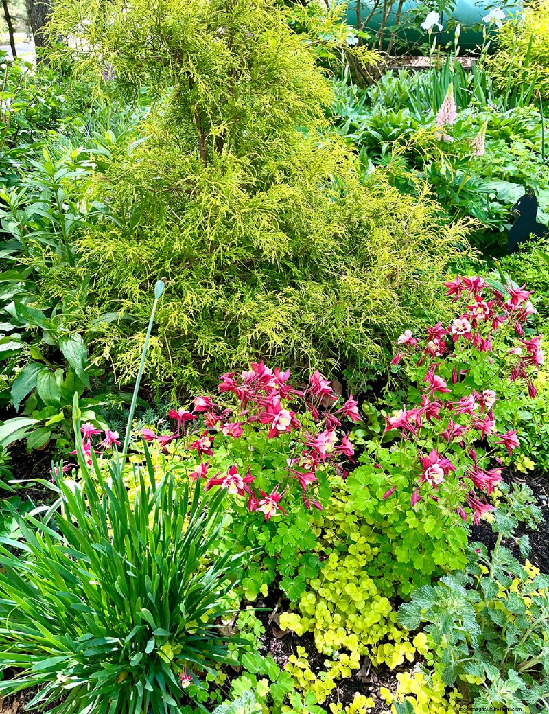 Le jardin printanier vibrant de Fran Watson sur Martha s Vineyard 
