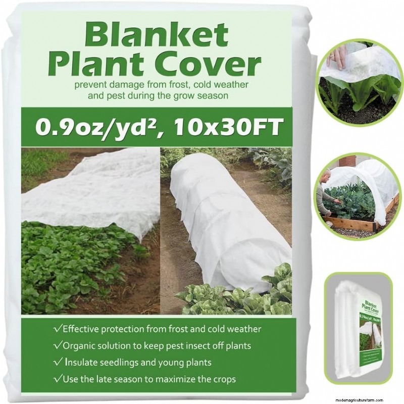 Le jardin printanier vibrant de Fran Watson sur Martha s Vineyard 