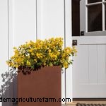 Le jardin printanier vibrant de Fran Watson sur Martha s Vineyard 