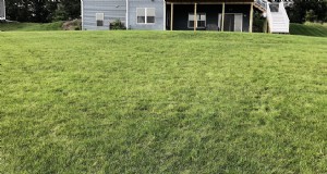 Beheersing van de grasgroei op heuvels:beproefde technieken voor erosiebeheersing en grassucces 