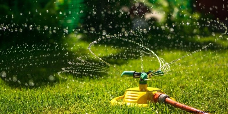 Maîtriser la croissance de l herbe sur les collines :techniques éprouvées pour le contrôle de l érosion et la réussite du gazon 