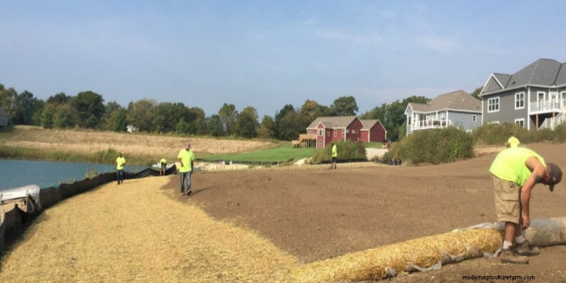 Maîtriser la croissance de l herbe sur les collines :techniques éprouvées pour le contrôle de l érosion et la réussite du gazon 