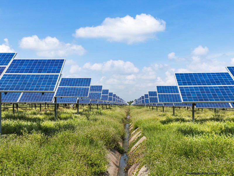 収益性の高い太陽光発電所を立ち上げる方法:包括的なビジネスガイド