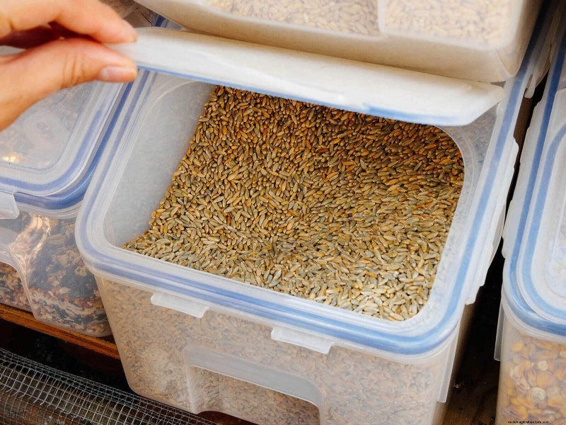 Soy‑Free, Corn‑Free Whole‑Grain Chicken Feed:A Proven DIY Recipe 
