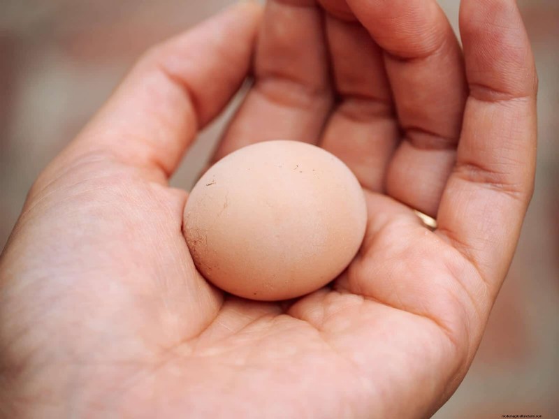 小さな鶏の卵を解き明かす:卵が起こる理由とその見分け方 