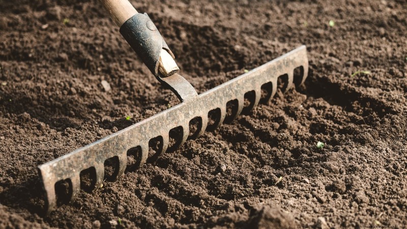 Den kompletta guiden till att plantera lökset:från jordberedning till skörd 