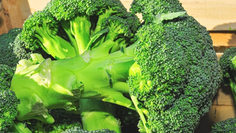 Qual è il momento perfetto per raccogliere i broccoli? 