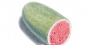 Bewährte Strategien für den Anbau riesiger, saftiger Melonen 