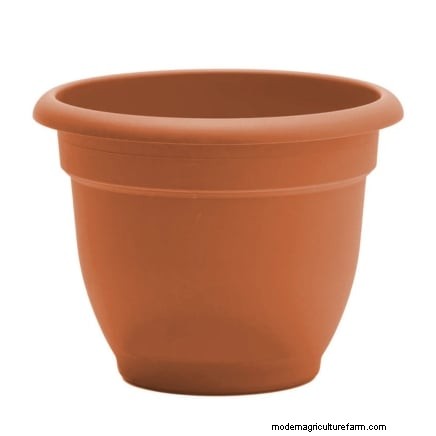 Fem nyckelindikatorer som signalerar att det är dags att backa din potatis 