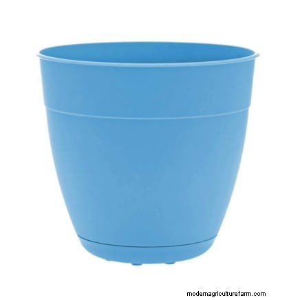 9 Tips Ahli untuk Menumbuhkan Rhubarb dalam Pot dan Wadah 