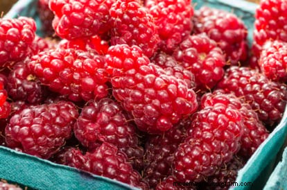 Tayberry-plantgids:tips voor teelt, verzorging en oogsten 