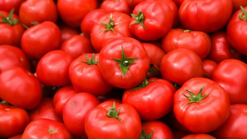 11 dwergtomatenrassen die u in elke tuin moet proberen 