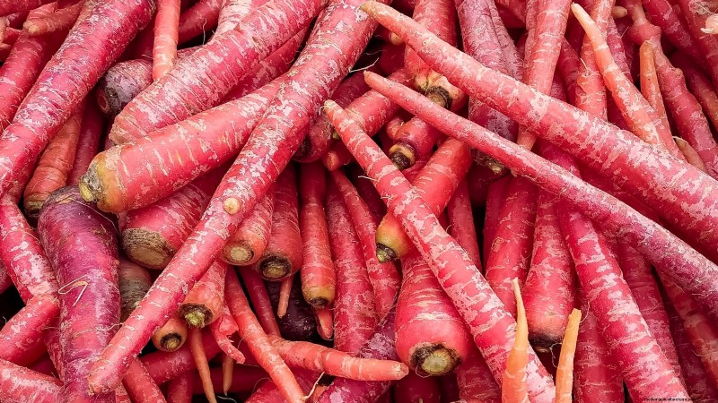 Plant dit voorjaar 9 levendige wortelvariëteiten – deskundige gids voor kleurrijke wortels 