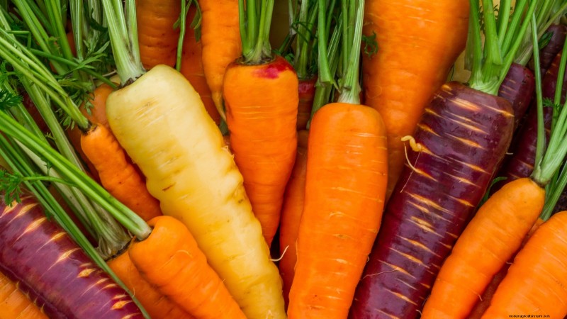 Plant dit voorjaar 9 levendige wortelvariëteiten – deskundige gids voor kleurrijke wortels 