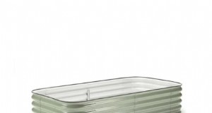 Camine hacia cebollas frescas:una guía completa para plantar, cultivar y cuidar cebollas ambulantes 