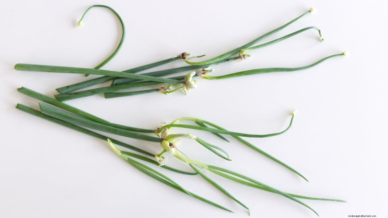 Loop je weg naar verse uien:een complete gids voor het planten, kweken en verzorgen van lopende uien 