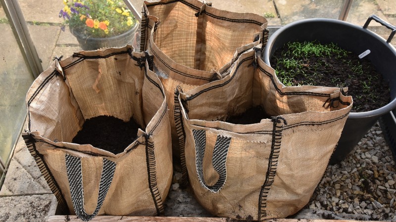 Cultivez des plants de pommes de terre à l intérieur :un guide pratique pour la culture de pommes de terre en intérieur 
