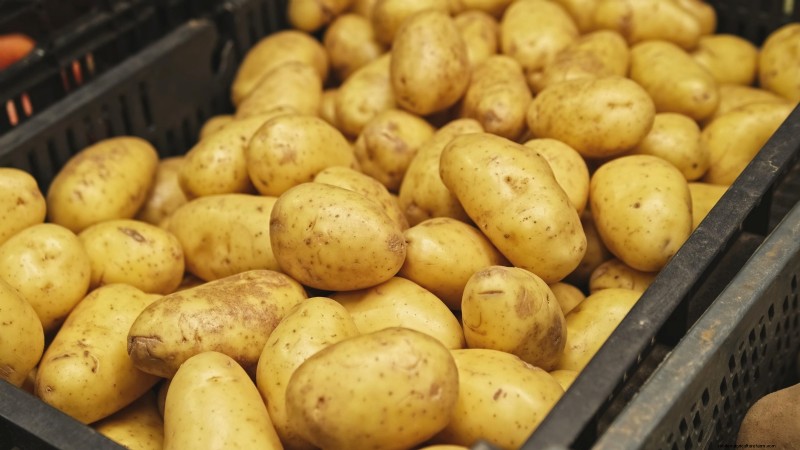 Cultivez des plants de pommes de terre à l intérieur :un guide pratique pour la culture de pommes de terre en intérieur 