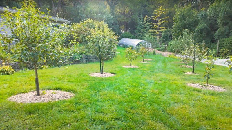 Comment un jardinier new-yorkais cultive près de 100 % de sa nourriture – Techniques éprouvées 