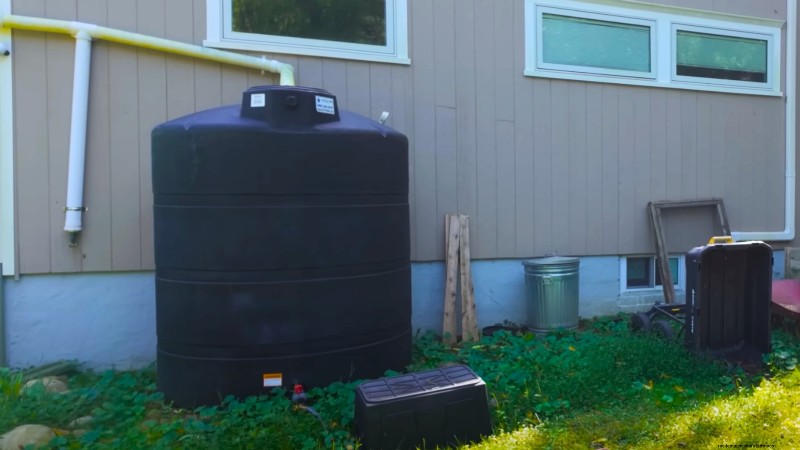 Comment un jardinier new-yorkais cultive près de 100 % de sa nourriture – Techniques éprouvées 