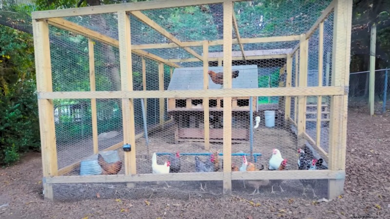 Comment un jardinier new-yorkais cultive près de 100 % de sa nourriture – Techniques éprouvées 
