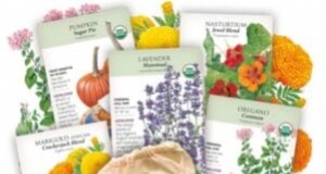 Binnenteelt van oregano:9 tips van experts voor een bloeiende kruidengroei 