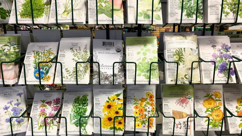 Binnenteelt van oregano:9 tips van experts voor een bloeiende kruidengroei 