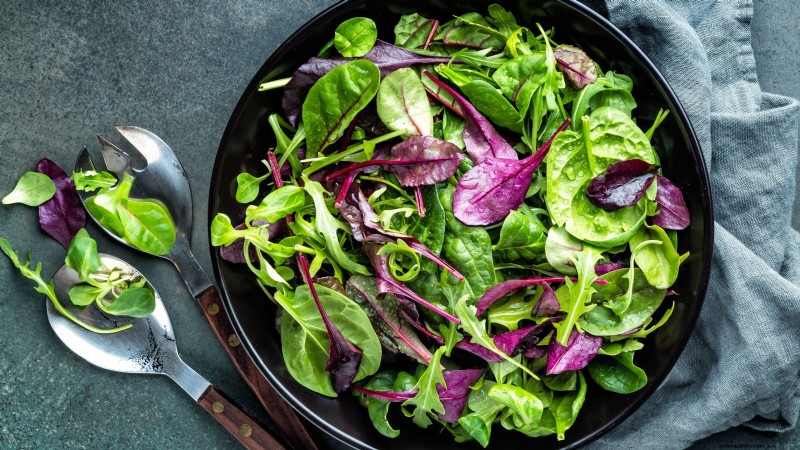 17 verse saladegroenten die u op uw aanrecht kunt laten groeien 