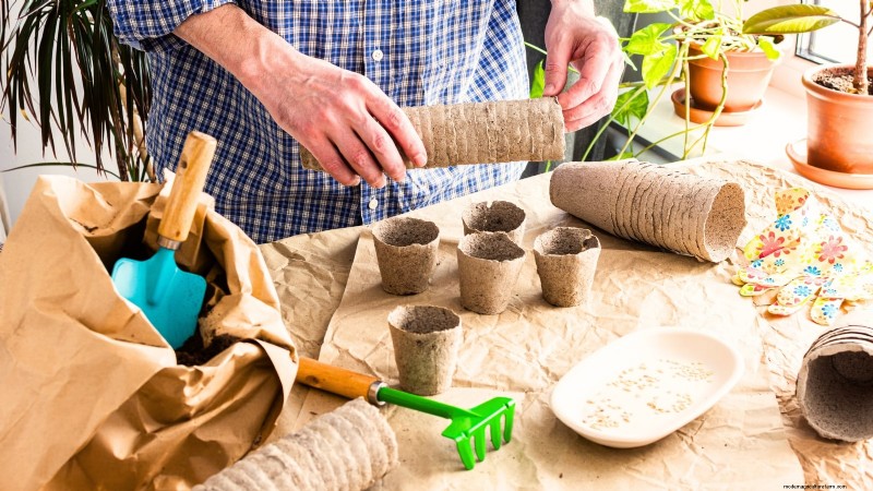 Chilipeperplanten uit zaad laten groeien:een complete gids 